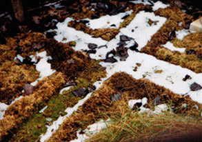 Das Rasenkreuz