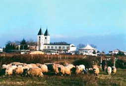 Pfarrkirche von Medjugorje